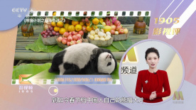 亚洲片区在线